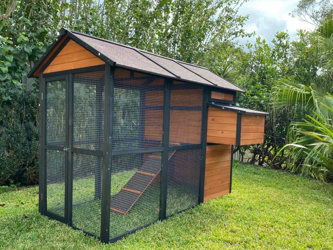 imgi-180-connie-chicken-coop