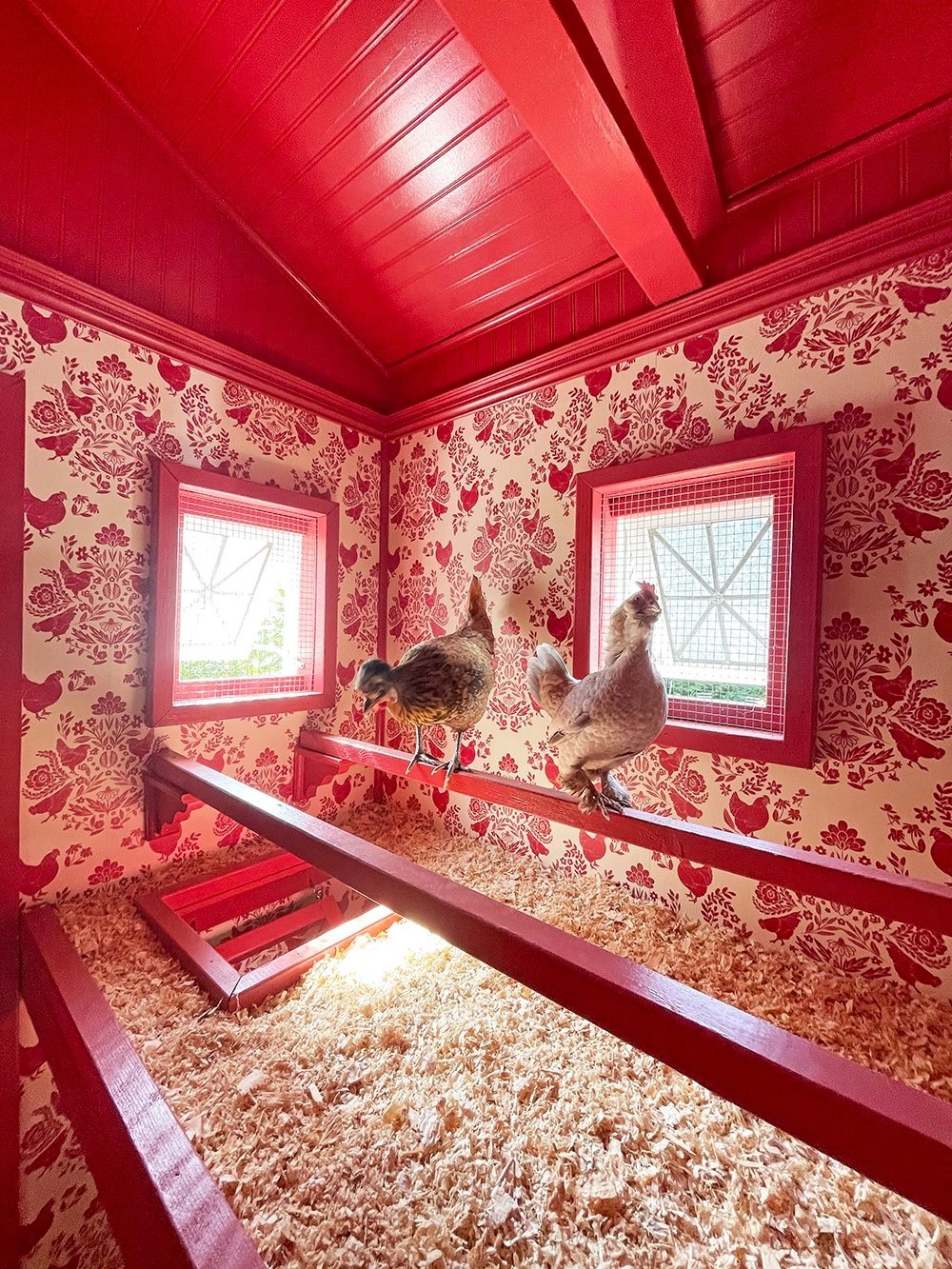 imgi-181-backyardchickencoopwithwallpaperreveal2copy