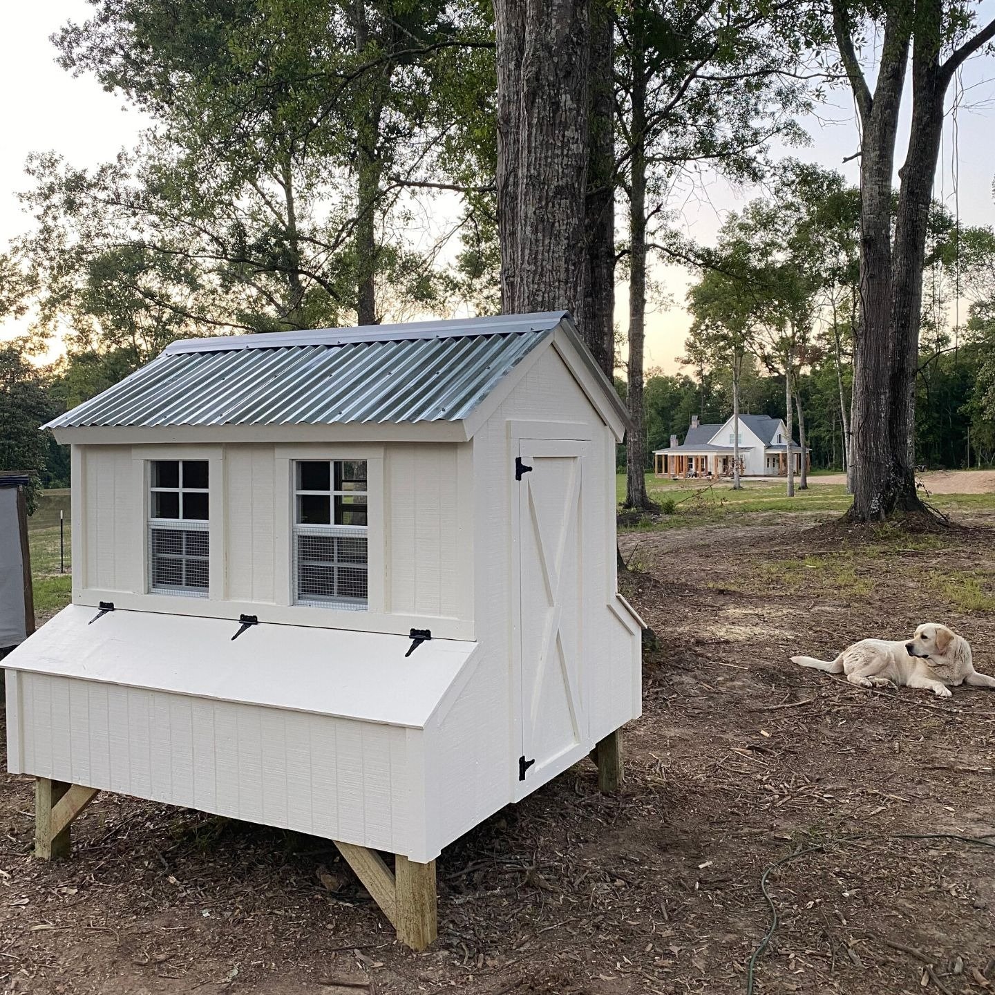 imgi-195-home-on-magnolia-hill-diy-farmhouse-chicken-coop-metal-roof-chicken-coop-farm-homestead-diy-backyard-chickens-fresh-eggs