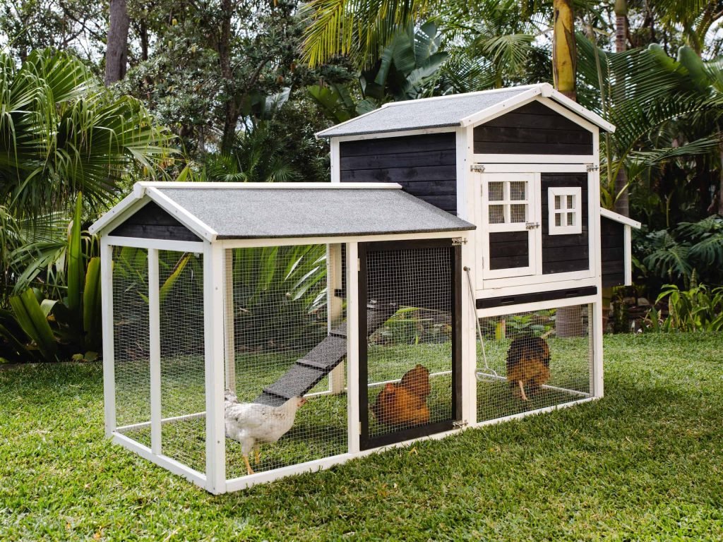 imgi-258-mansion-chicken-coop-by-somerzby