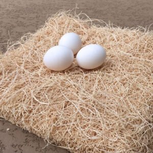 Natural Excelsior Aspen Fiber Nesting Pads | 13 x 13 Inches | Pack of 10