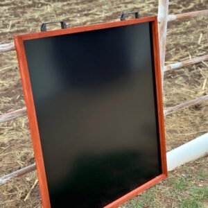 Automatic Door Opens