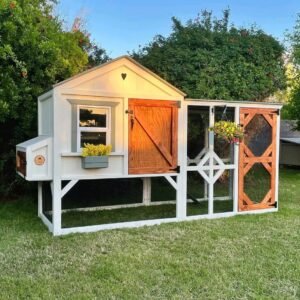 Aesthetically Pleasing Chicken Coop