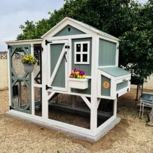 Charming Homestead Chicken