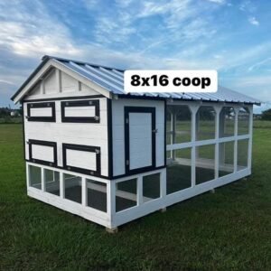 Chicken Tractor Coop