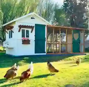 The Farmhouse Coop